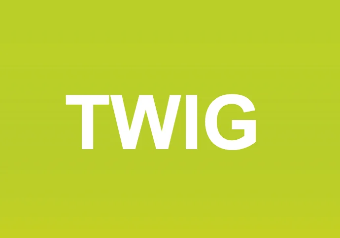 Use Twig Templates in WordPress to Simplify Theme Development