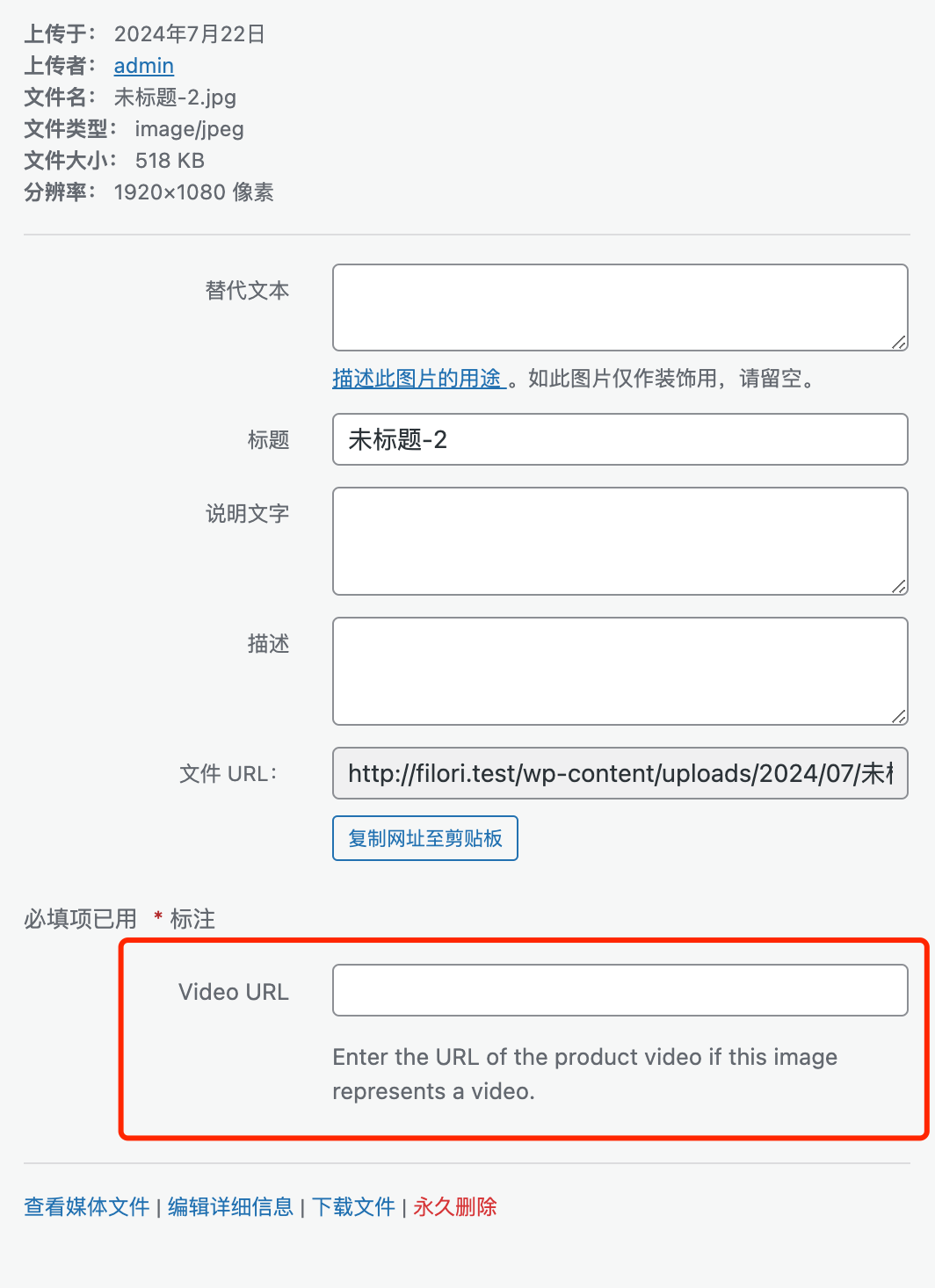 Custom field in WordPress Media Library sidebar
