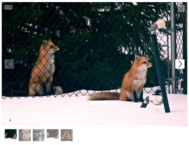 WordPress built-in photo album display effect optimization plug-in Galleria