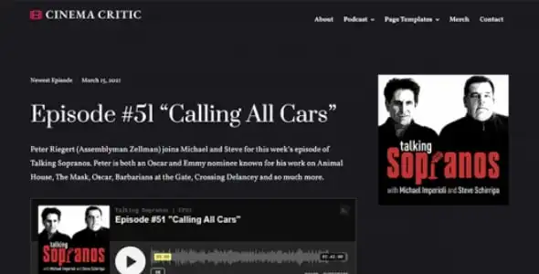 Minimalist audio and video podcast theme——Podcast Plus